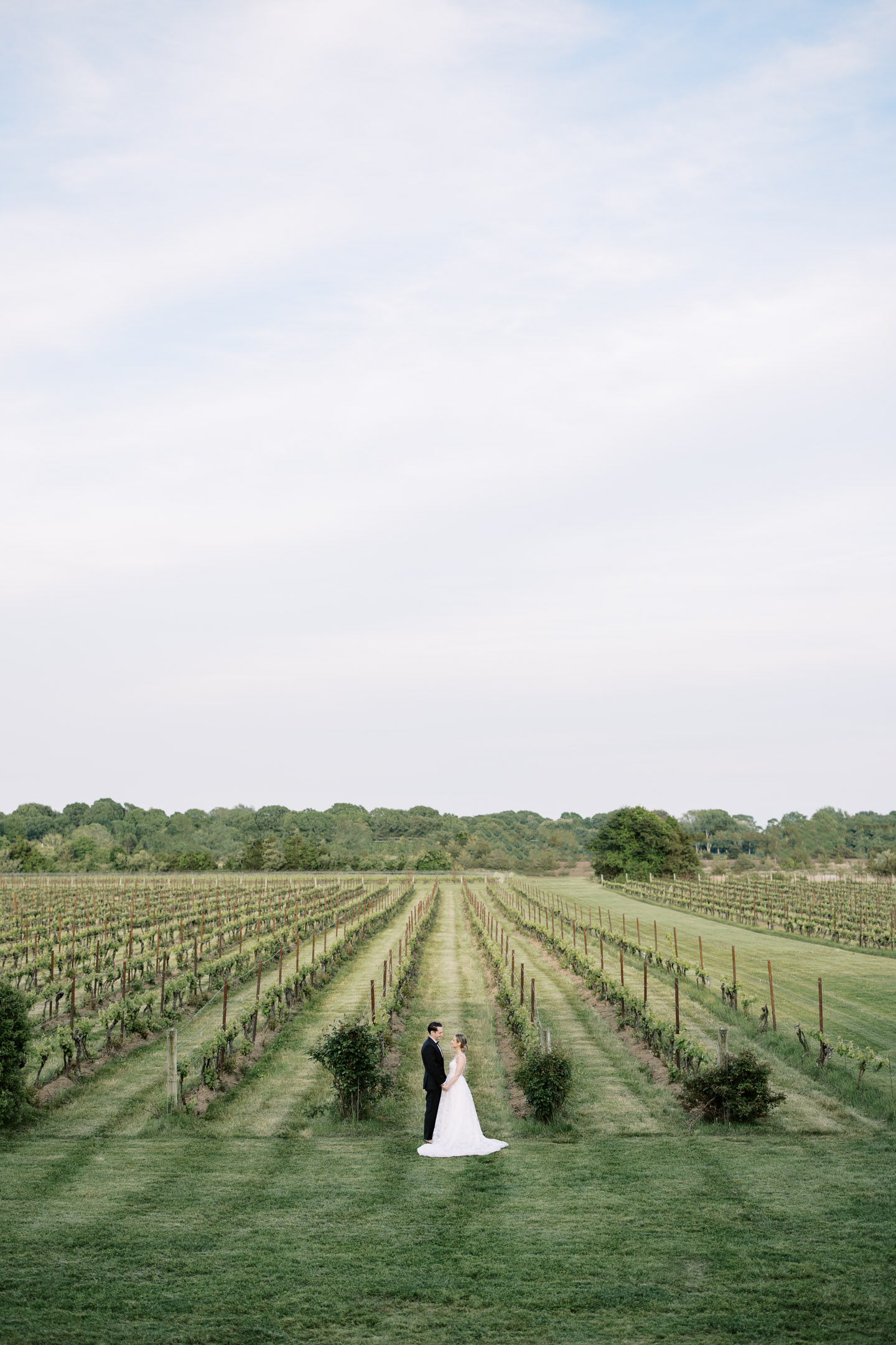 pulled back shot of bride and groom in the vineyard