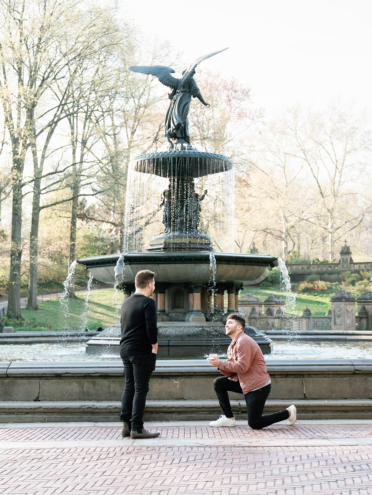 getting down on one knee for their central park proposal
