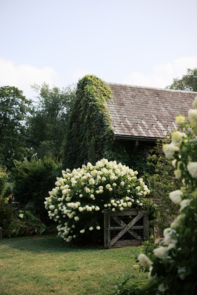 Outside photo of the barns.